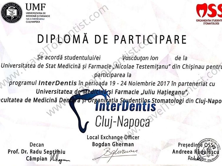 Диплом Нелу