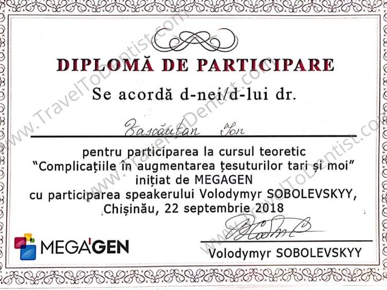 Диплом Нелу