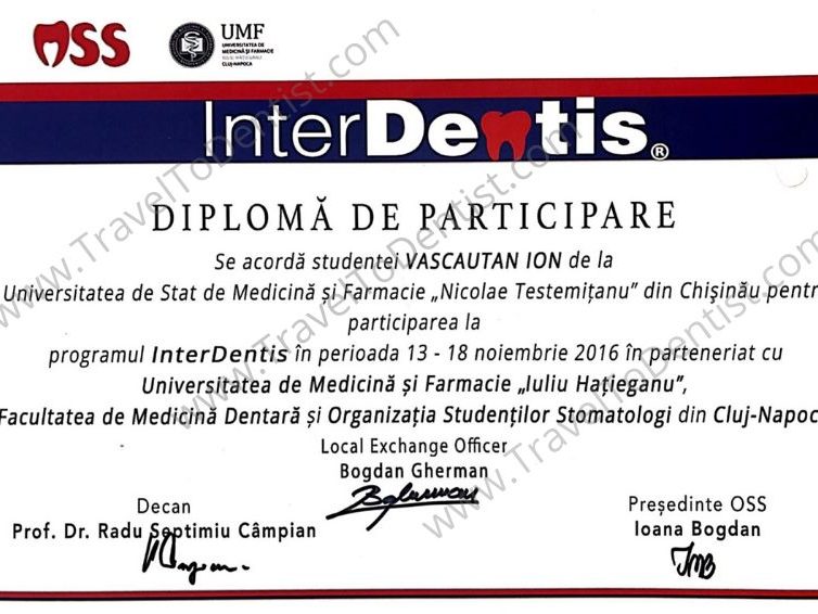 Диплом Нелу