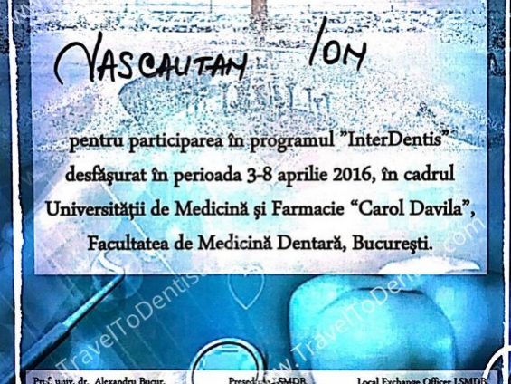 Диплом Нелу